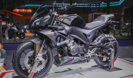 gpr250最新爆料,揭示肿瘤免疫治疗新靶点